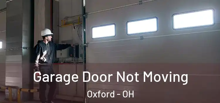  Garage Door Not Moving Oxford - OH